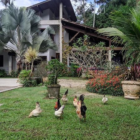Appartamento Casa Na Floresta Penedo  Esterno foto
