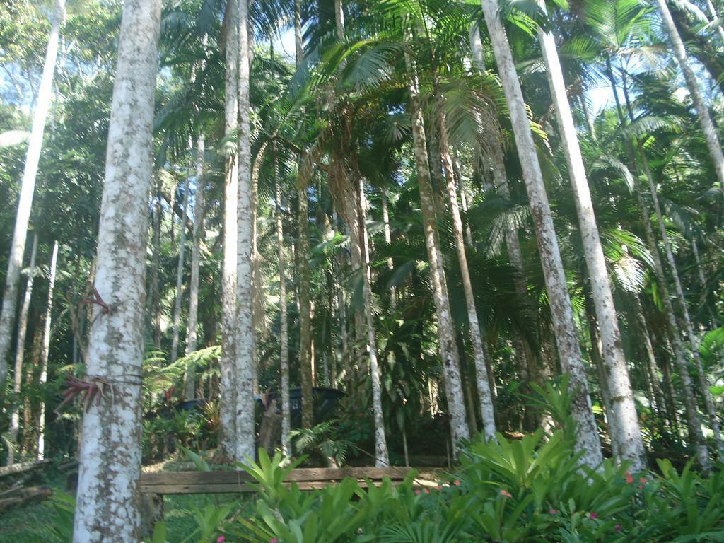Appartamento Casa Na Floresta Penedo  Esterno foto