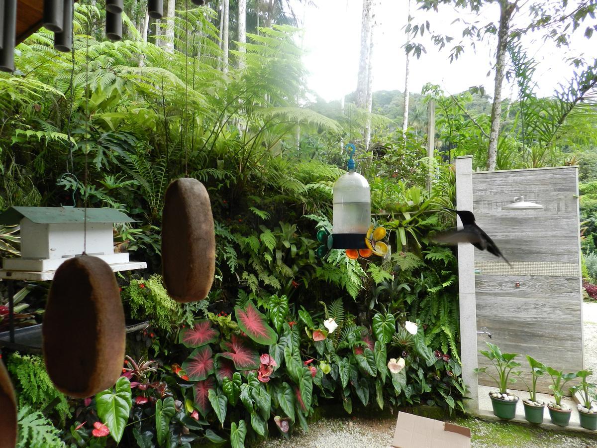 Appartamento Casa Na Floresta Penedo  Esterno foto