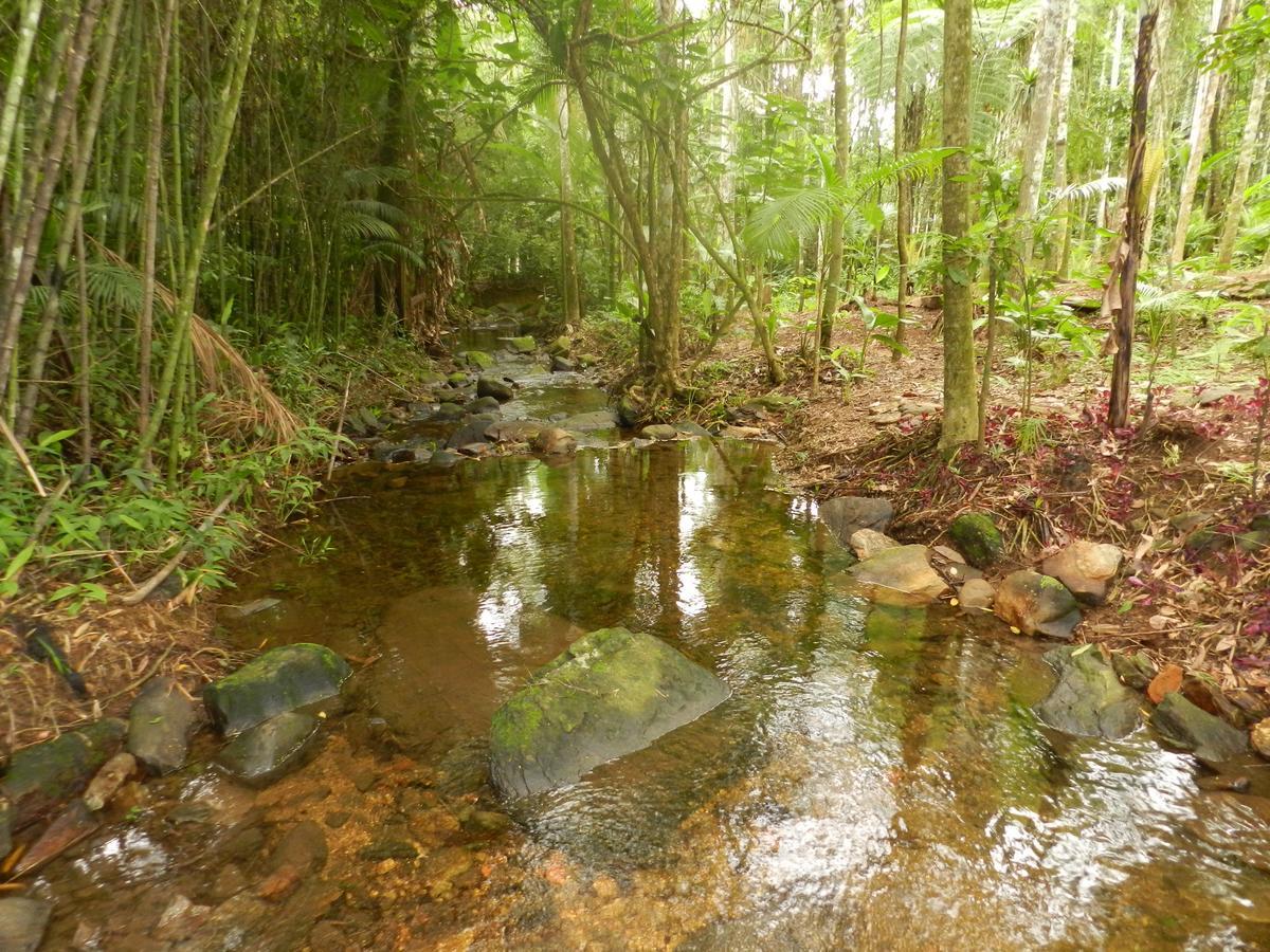 Appartamento Casa Na Floresta Penedo  Esterno foto