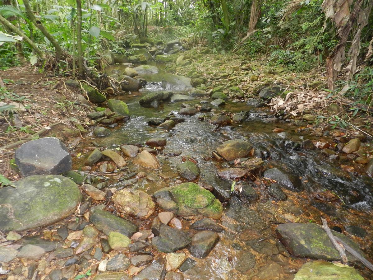 Appartamento Casa Na Floresta Penedo  Esterno foto