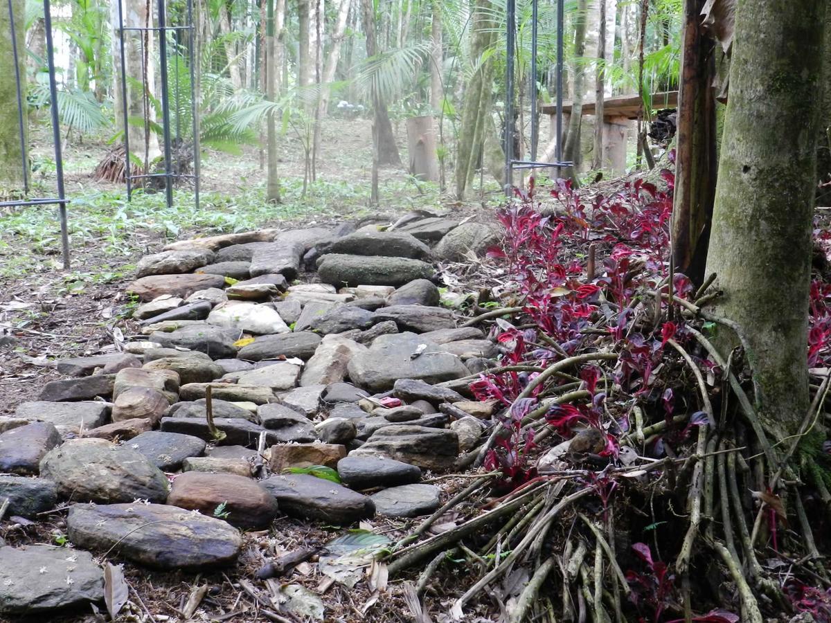 Appartamento Casa Na Floresta Penedo  Esterno foto