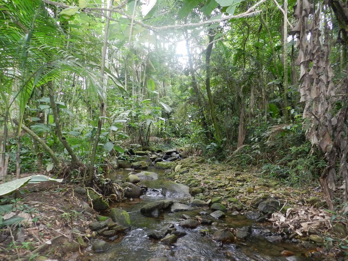Appartamento Casa Na Floresta Penedo  Esterno foto